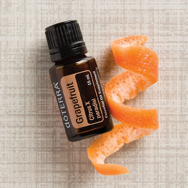 21fc1fba 2400 4974 ad3b 6587ce44e4bf